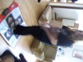 IMGP1316.JPG